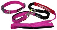 Helios Neo-Indestructible Easy-Tension Sporty Dog Leash and Collar Set