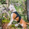 Multi-Use Support Dog Harness for Hiking, Trail Running & Service Dogs – Reflective No-Pull Pet Vest (Black XH)