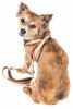 Pet Life Luxe 'Dapperbone' 2-in-1 Adjustable Dog Harness and Leash Set with Fashion Bow Tie