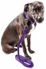 Pet Life 'Aero Mesh' 2-in-1 Comfortable Breathable Mesh Dog Leash and Collar Set