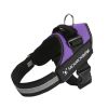 No Pull Pet Harness for Dogs & Cats – Adjustable Soft Padded Harness with Easy Control Handle