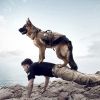 Tactical Dog Harness with Detachable Pouches – Adjustable Military Style Dog Harness Vest