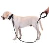 Strong Nylon Braided Dog Leash – Durable Pet Training & Running Rope