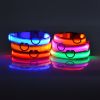 Glow-In-The-Dark LED Pet Collar – USB Rechargeable Safety Collar for Dogs & Cats