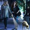 16FT Retractable Dog Leash with Flashlight, RGB Light & Waste Bag Dispenser