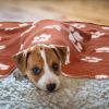 10-Piece Pet Blanket Set – Paw Print Fleece Dog Blankets (24" x 28") for Dogs & Puppies