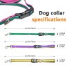 6-in-1 Hands-Free Multi-Functional Dog Leash – Adjustable Dual Dog Traction Rope