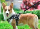 Dragon Pattern Reflective Dog Harness Set – Adjustable Safety Vest with Matching Leash