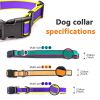 Waterproof Tactical Dog Collar – Heavy-Duty Training Collar for Medium & Large Dogs