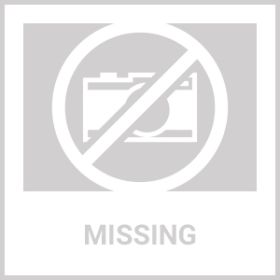 Ice Cream Cart Dress with Matching Leash (size: XLarge)