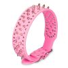 Spiked Leather Dog Collar | Adjustable Studded Pet Neck Collar for Dogs
