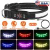 LED Light Up Dog Collar | USB Rechargeable Glow Safety Collar with 9 Colors, IPX7 Waterproof for Night Walking (S/M/L)