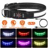 LED Light Up Dog Collar | USB Rechargeable Glow Safety Collar with 9 Colors, IPX7 Waterproof for Night Walking (S/M/L)