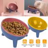 Raised Tilted Elevated Food Bowl Pet Backflow Prevention Water Dish Feeding Bowl for Cats Small Dogs