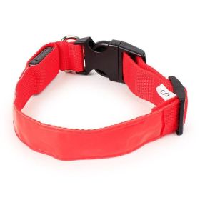 Vibrant Nylon Dog Collar - Available In Multiple Colors And Sizes (Color: Red, size: M)