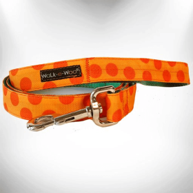 Polka Dot Dog Monotone Comfort Collar (Size-Pack Of: Regular Lead 1" Width- 5' Length-1, Color: Orange)