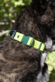 Mossy Pine Heavy Duty Waterproof Dog Collar (Pack Of: 1, size: 11 - 13 Inch)