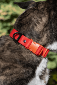 Scarlet Peaks Autumn Waterproof Dog Collar (Pack Of: 1, size: 11 - 13 Inch)