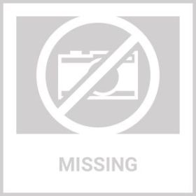 2Pcs Recordable Talking Button Pet Child Interactive Toy Voice Recording Sound Buttons Answer Buttons Pet Training Tool Dog Toys (Ships From: CN, Color: blue - green)